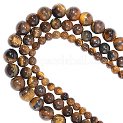 3 нити 3 стилей натуральные круглые бусины тигровый глаз ab&nbsp;G-PA0001-38