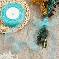 1 рулон прозрачной органзовой ленты&nbsp;SRIB-CY0001-22A-06