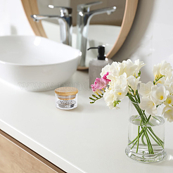 Стеклянная чашка для ногтей&nbsp;TOOL-WH0059-030