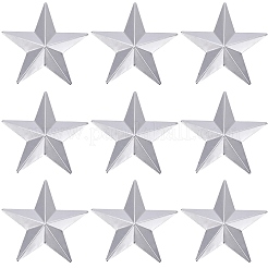 Железа кабошонов&nbsp;IFIN-WH20009-01D-P