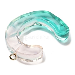 Смола подвеска&nbsp;FIND-Q107-01C-01