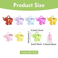 100шт прозрачные акриловые подвески&nbsp;TACR-YW0003-27