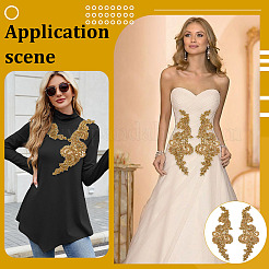 Стекла исправление горный хрусталь&nbsp;AJEW-WH0270-723G-02