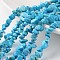 Chip Dyed Natural Magnesite Bead Strands, 4~6x8~12x2~4mm, Hole: 1mm, about 80~81cm