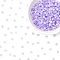 50G Imitation Cat Eye Glass Seed Beads, Rondelle, Two Tone, Lilac, 4~4.5x2.5~3mm, Hole: 1.2~1.5mm