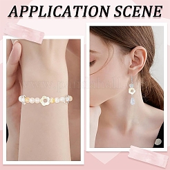 20шт. Рамки из пресноводных ракушек&nbsp;SHEL-YW0001-08