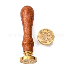 DIY альбом&nbsp;DIY-CP0005-62