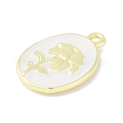 Подвески из сплава&nbsp;PALLOY-F018-14G-02