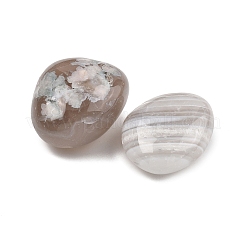 Натуральные бусины в форме цветков сакуры&nbsp;G-G348-01B-05