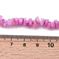 Бусины из натуральных пресноводных ракушек&nbsp;SHEL-B003-01F