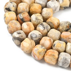 Природные сумасшедший агат бисер нитей&nbsp;G-C267-A13