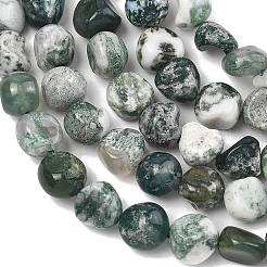 Натурального дерева агат бисер нитей&nbsp;G-D362-A02