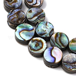 Природные пауа бусы нити&nbsp;BSHE-ZX006-09C