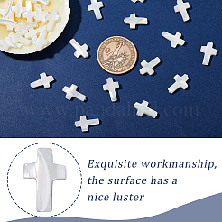 1 нить натуральных бусин из ракушек трохид/трохус&nbsp;SSHEL-GA0001-17