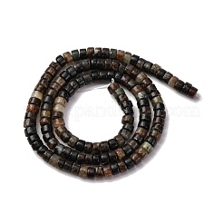 Природного биотита нитей бисера&nbsp;G-L624-I12-2x4mm