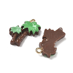 Подвески из непрозрачной смолы&nbsp;RESI-G120-01E