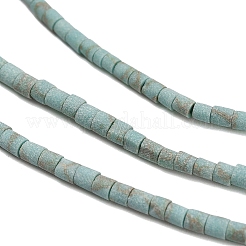 Окрашенные синтетические бирюзовые бусы нити&nbsp;G-P594-01B-05