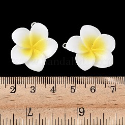 Подвески из непрозрачной смолы&nbsp;LS-FIND-K024-01