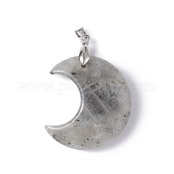 Природные подвески лабрадорита&nbsp;G-Z022-04L