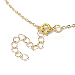 Гальванические ожерелья с подвеской из натурального агата и жеода для женщин&nbsp;NJEW-JN04730