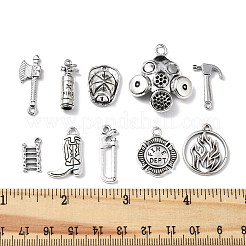 40шт 10 стиля подвески из сплава в тибетском стиле&nbsp;FIND-FP0001-23