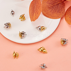 20 комплект магнитных застежек из сплава 2 цветов&nbsp;PALLOY-CJ0001-155