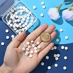 2 нить бусин из натуральных пресноводных ракушек&nbsp;SSHEL-SC0001-36B