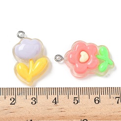 Прозрачные смоляные подвески&nbsp;RESI-I339-02P