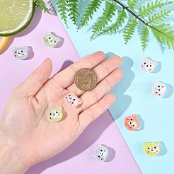 10шт акриловые бусины&nbsp;PACR-YW0001-44