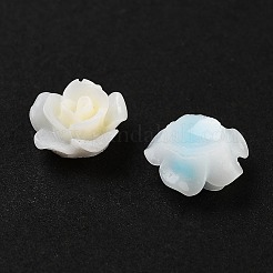 Светящаяся смола декодирует кабошоны&nbsp;RESI-K036-39