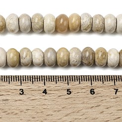 Природные окаменелые коралловые бусы пряди&nbsp;G-A280-A08-02