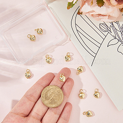 10шт латунные подвески&nbsp;KK-BBC0022-99C