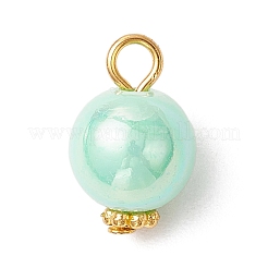 Непрозрачные акриловые подвески&nbsp;PALLOY-JF03929-02