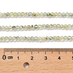 Природные пренит нитей бисера&nbsp;LS-G-B107-E01-01