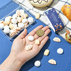 48шт 3 стиля непрозрачные подвески из смолы&nbsp;CRES-SC0003-10