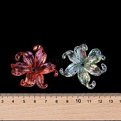 Прозрачные акриловые бусины&nbsp;X-MACR-K358-06A