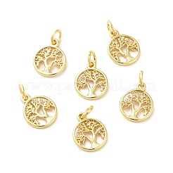 Латунь подвески&nbsp;KK-Q403-01G