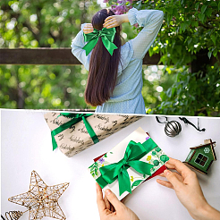 Полиэфирные ленты&nbsp;OCOR-WH20018-31A