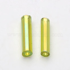 Прозрачные цвета радуги стекло стеклярусом&nbsp;TSDB6MM164