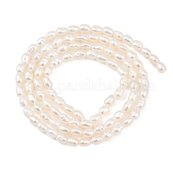 Нити из натурального культивированного пресноводного жемчуга&nbsp;PEAR-F020-13