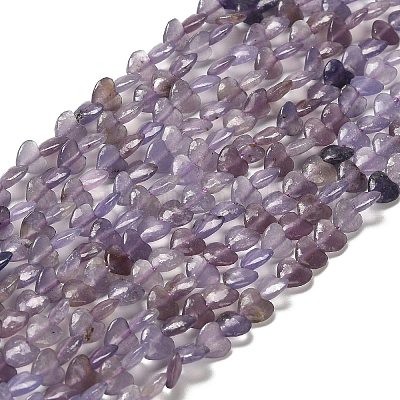 Натуральный лепидолит / пурпурный слюдяный камень бисер пряди G-P575-C01-6mm-1
