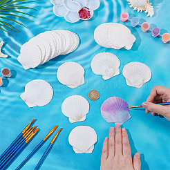 80 шт. украшения из натуральных ракушек&nbsp;DIY-WA0001-03