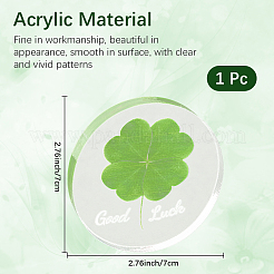 Акриловый кабошоны&nbsp;OACR-WH20008-02