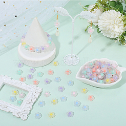 300 шт. Прозрачные акриловые бусины&nbsp;TACR-PA0001-13