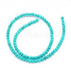 Естественно Howlite круглый шарик нити&nbsp;X-TURQ-E022-38B-4mm