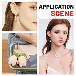 30 шт. 5 стиля круглые подвески-соединители в виде жемчужин&nbsp;PALLOY-CA00023