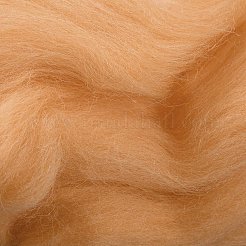 Игольное валяние&nbsp;DIY-TAC0020-55A-09