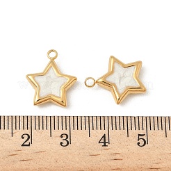 Подвески из эмалированной нержавеющей стали 304&nbsp;STAS-V015-37G