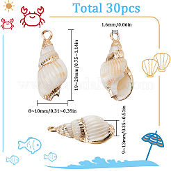 30 шт. гальванизированные спиральные подвески-ракушки&nbsp;SSHEL-SC0001-29B