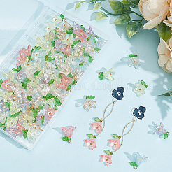 80шт 8-х цветный акриловый кулон&nbsp;PALLOY-AR00016